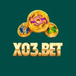 X03 game